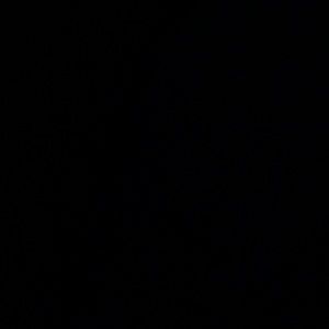 Meet your Posher, Mia